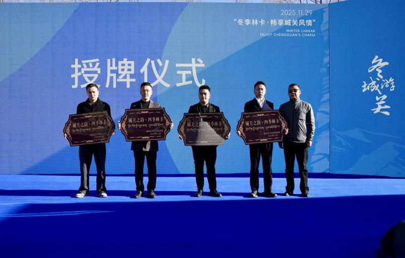 荣耀系列好还是畅享系列好__荣耀系列同畅享哪个好